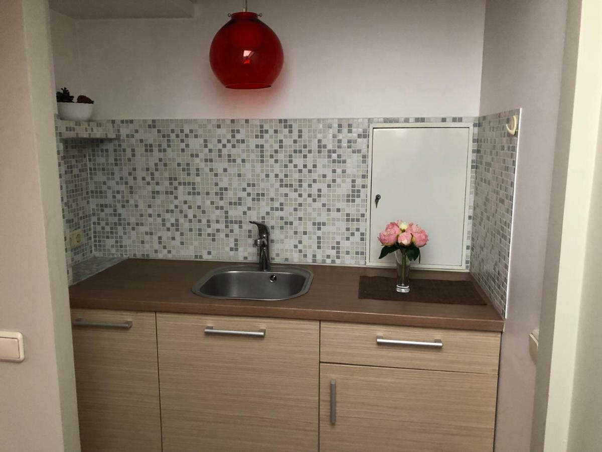 Family Or Group Apartment In Green Center Ρίγα Εξωτερικό φωτογραφία